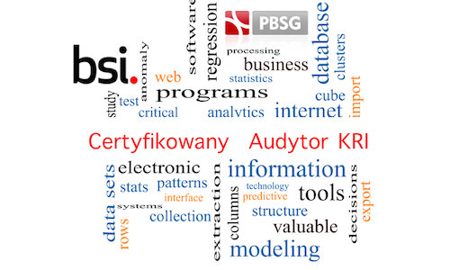 bsi_pbsg_audytor